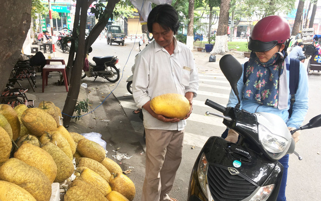 Lạ[-]lẫm[-]bưởi[-]“khủng”[-]chưng[-]tết[-]hơn[-]chục[-]ký